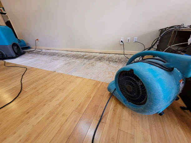 Professional Basement Flood Cleanup technician working in Roosevelt, NJ